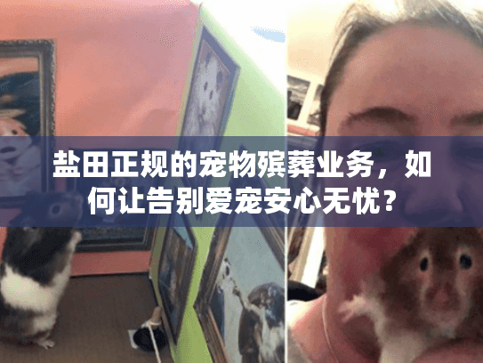 盐田正规的宠物殡葬业务，如何让告别爱宠安心无忧？