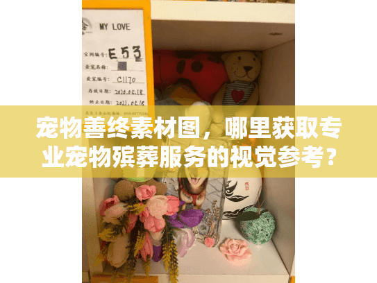 宠物善终素材图，哪里获取专业宠物殡葬服务的视觉参考？