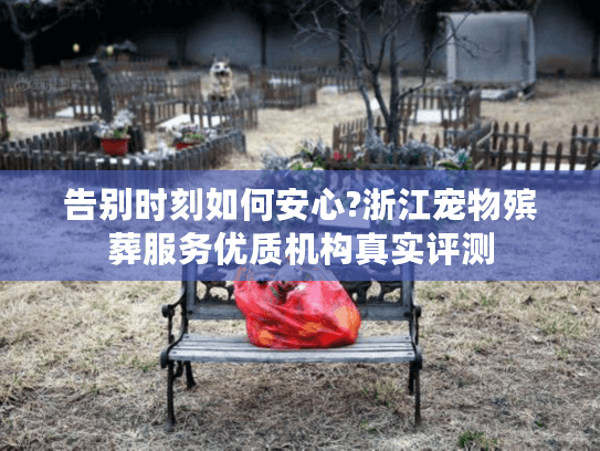 告别时刻如何安心?浙江宠物殡葬服务优质机构真实评测