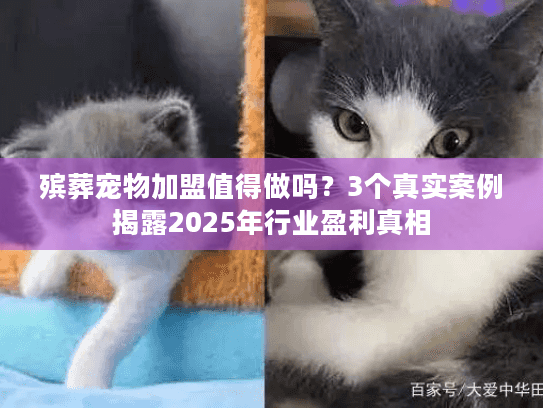 殡葬宠物加盟值得做吗？3个真实案例揭露2025年行业盈利真相