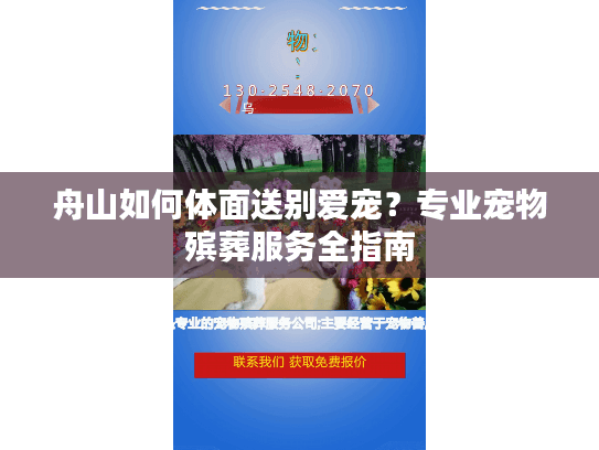 舟山如何体面送别爱宠？专业宠物殡葬服务全指南