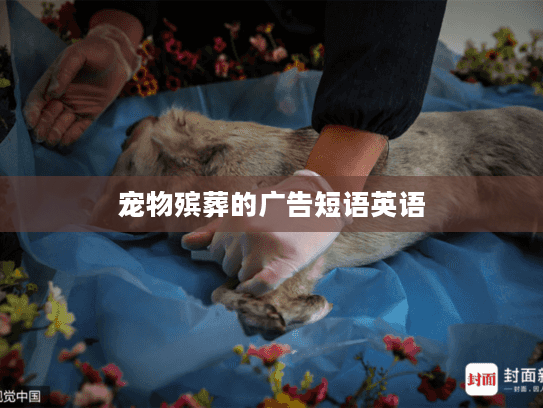 宠物殡葬的广告短语英语