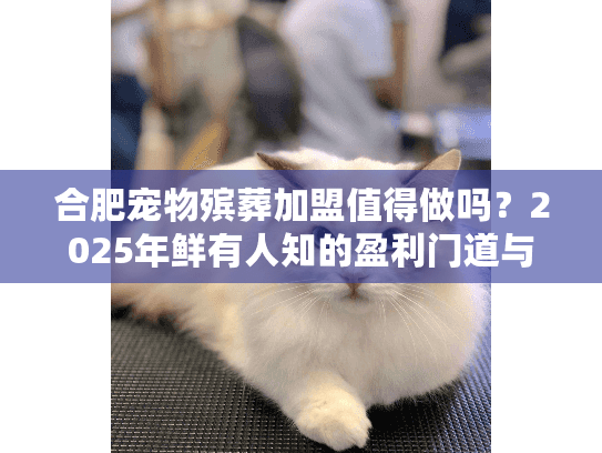 合肥宠物殡葬加盟值得做吗？2025年鲜有人知的盈利门道与实战案例