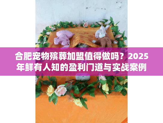 合肥宠物殡葬加盟值得做吗？2025年鲜有人知的盈利门道与实战案例