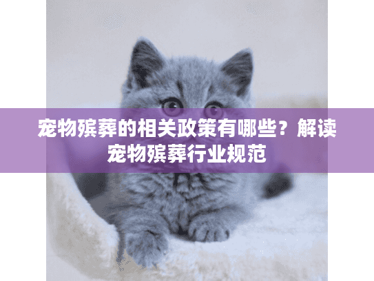 宠物殡葬的相关政策有哪些？解读宠物殡葬行业规范