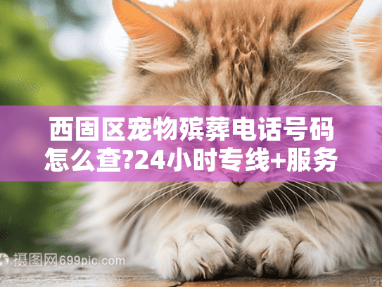 西固区宠物殡葬电话号码怎么查?24小时专线+服务流程全解析