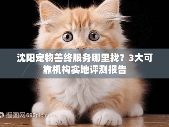 沈阳宠物善终服务哪里找？3大可靠机构实地评测报告