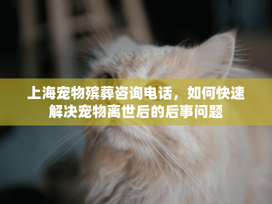 上海宠物殡葬咨询电话，如何快速解决宠物离世后的后事问题
