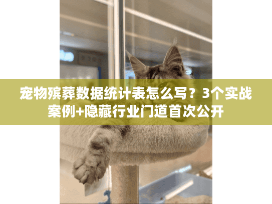 宠物殡葬数据统计表怎么写？3个实战案例+隐藏行业门道首次公开