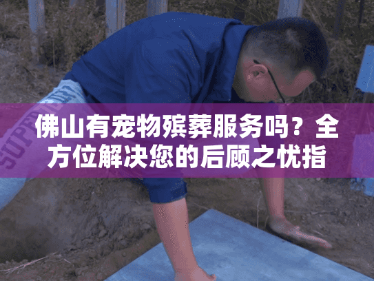 佛山有宠物殡葬服务吗？全方位解决您的后顾之忧指南