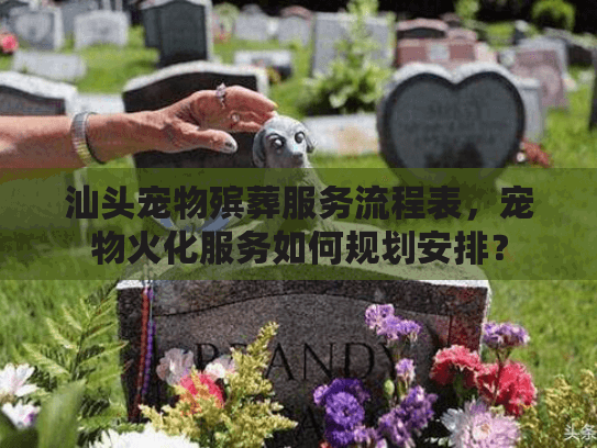 汕头宠物殡葬服务流程表，宠物火化服务如何规划安排？