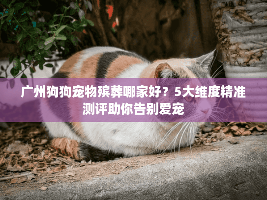 广州狗狗宠物殡葬哪家好？5大维度精准测评助你告别爱宠