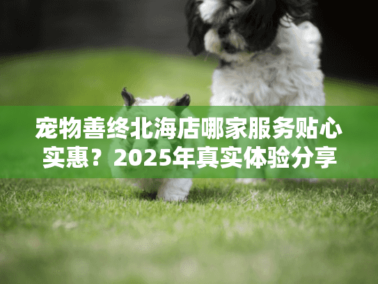 宠物善终北海店哪家服务贴心实惠？2025年真实体验分享