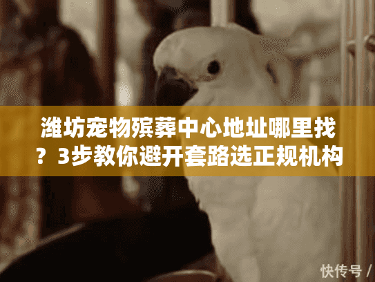 潍坊宠物殡葬中心地址哪里找？3步教你避开套路选正规机构