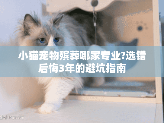 小猫宠物殡葬哪家专业?选错后悔3年的避坑指南