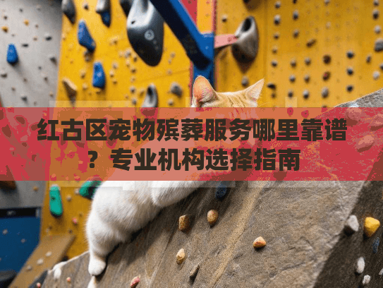红古区宠物殡葬服务哪里靠谱？专业机构选择指南