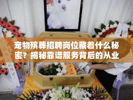 宠物殡葬招聘岗位藏着什么秘密？揭秘靠谱服务背后的从业者要求