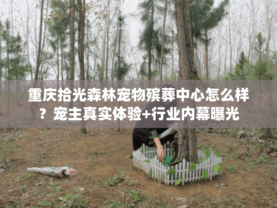 重庆拾光森林宠物殡葬中心怎么样？宠主真实体验+行业内幕曝光