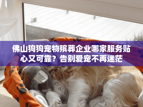 佛山狗狗宠物殡葬企业哪家服务贴心又可靠？告别爱宠不再迷茫