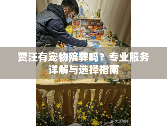 贾汪有宠物殡葬吗？专业服务详解与选择指南
