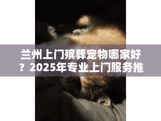 兰州上门殡葬宠物哪家好？2025年专业上门服务推荐