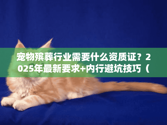 宠物殡葬行业需要什么资质证？2025年最新要求+内行避坑技巧（附真实案例）