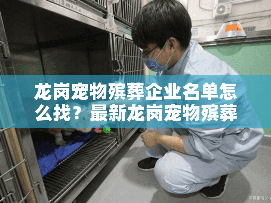 龙岗宠物殡葬企业名单怎么找？最新龙岗宠物殡葬服务指南分享