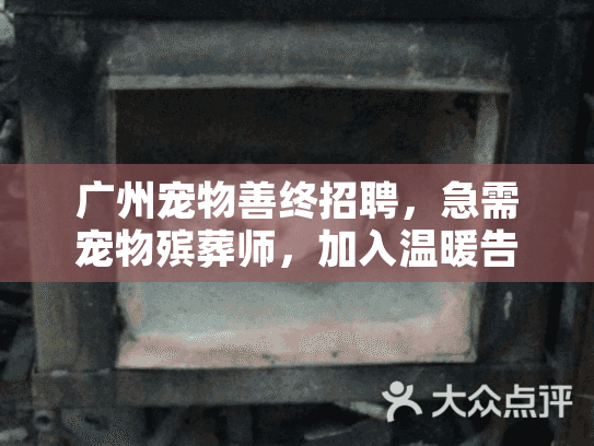 广州宠物善终招聘，急需宠物殡葬师，加入温暖告别团队！