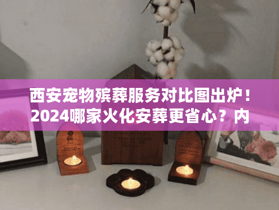西安宠物殡葬服务对比图出炉！2024哪家火化安葬更省心？内附真实用户案例