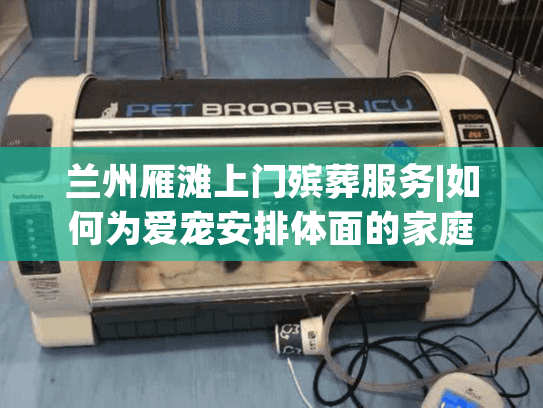 兰州雁滩上门殡葬服务|如何为爱宠安排体面的家庭告别仪式？