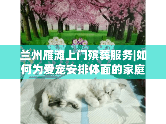 兰州雁滩上门殡葬服务|如何为爱宠安排体面的家庭告别仪式？