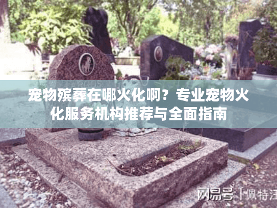 宠物殡葬在哪火化啊？专业宠物火化服务机构推荐与全面指南