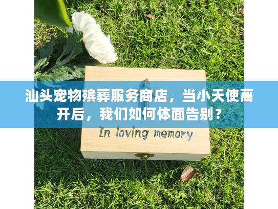 汕头宠物殡葬服务商店，当小天使离开后，我们如何体面告别？