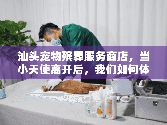 汕头宠物殡葬服务商店，当小天使离开后，我们如何体面告别？