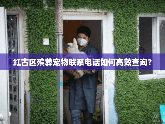 红古区殡葬宠物联系电话如何高效查询？