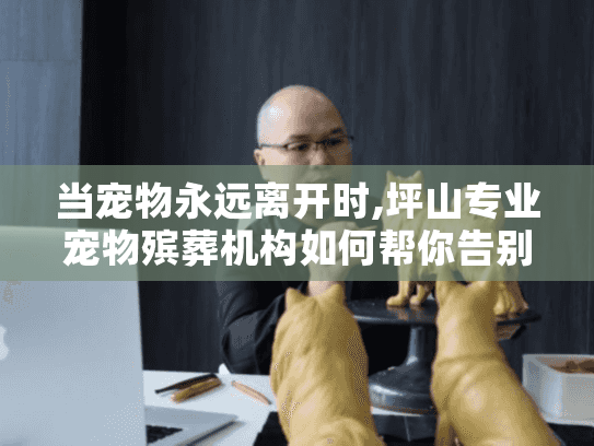 当宠物永远离开时,坪山专业宠物殡葬机构如何帮你告别?