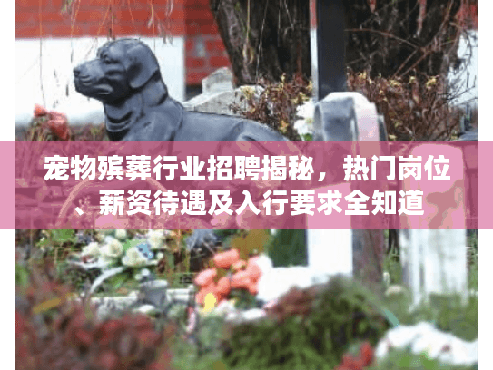 宠物殡葬行业招聘揭秘，热门岗位、薪资待遇及入行要求全知道