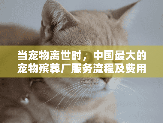 当宠物离世时，中国最大的宠物殡葬厂服务流程及费用详解