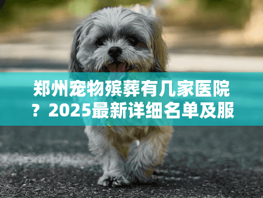 郑州宠物殡葬有几家医院？2025最新详细名单及服务指南