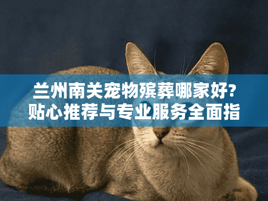 兰州南关宠物殡葬哪家好?贴心推荐与专业服务全面指南