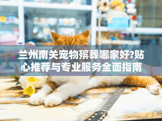 兰州南关宠物殡葬哪家好?贴心推荐与专业服务全面指南