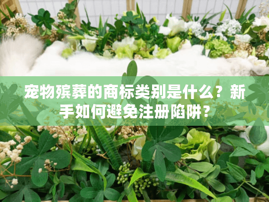 宠物殡葬的商标类别是什么？新手如何避免注册陷阱？