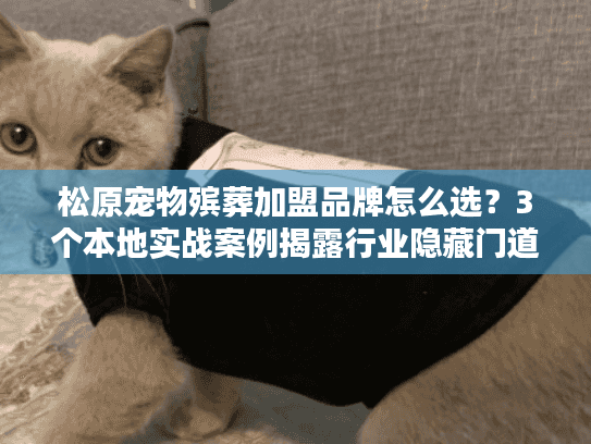 松原宠物殡葬加盟品牌怎么选？3个本地实战案例揭露行业隐藏门道