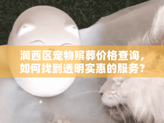 涧西区宠物殡葬价格查询，如何找到透明实惠的服务？