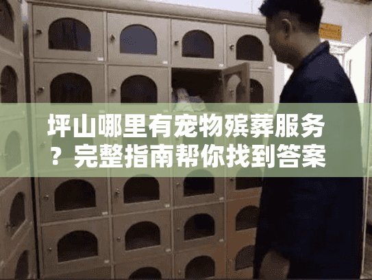 坪山哪里有宠物殡葬服务？完整指南帮你找到答案