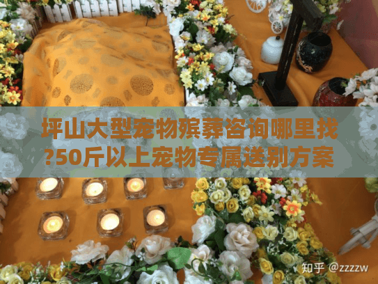 坪山大型宠物殡葬咨询哪里找?50斤以上宠物专属送别方案
