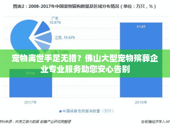 宠物离世手足无措？佛山大型宠物殡葬企业专业服务助您安心告别