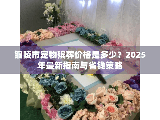 铜陵市宠物殡葬价格是多少？2025年最新指南与省钱策略