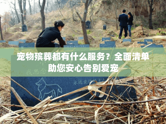 宠物殡葬都有什么服务？全面清单助您安心告别爱宠
