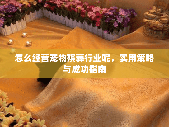 怎么经营宠物殡葬行业呢，实用策略与成功指南